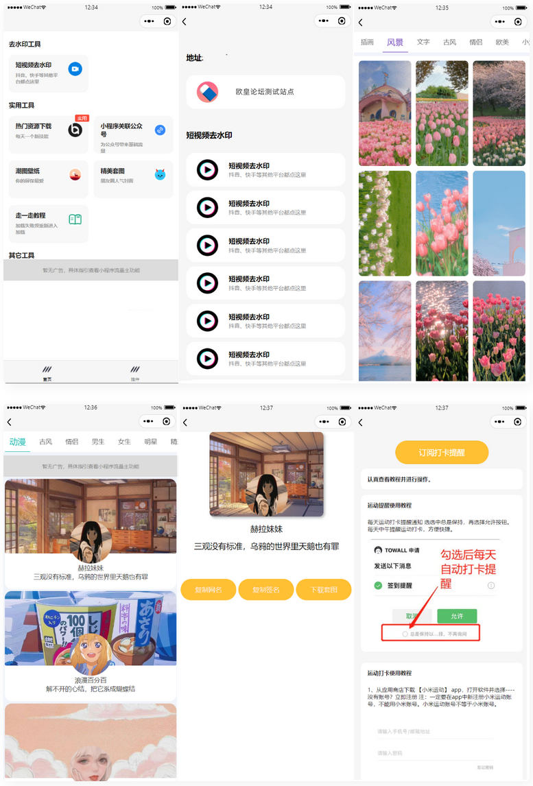【千源源码】多接口带头像挂件制作短视频去水印微信小程序源码
